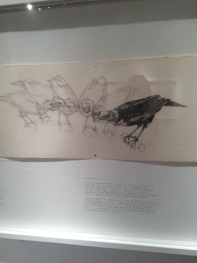 Gena+Siepel+visited+Peddie+to+display+her+artwork+of+bird+taxidermy.