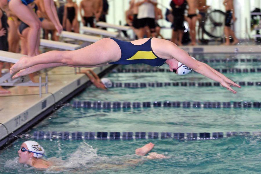 Peddie swimmer diving into the water. Photo Courtesy of Andrew Marvin.